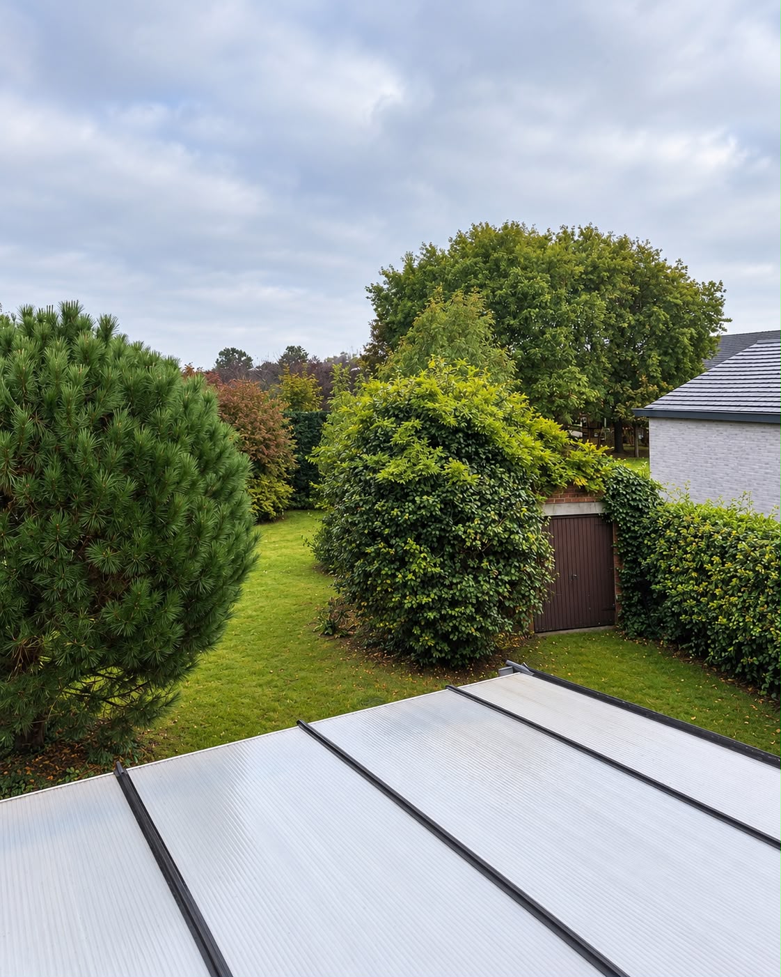 De zuidgerichte tuin met volwassen bomen en groen